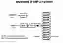 Fig. 01 - Anti-MFI2 antibodies and methods of use
