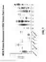Fig. 34 - Anti-MFI2 antibodies and methods of use