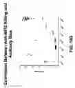 Fig. 42 - Anti-MFI2 antibodies and methods of use