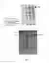 Fig. 14 - METHODS AND PRODUCTS FOR INCREASING FRATAXIN LEVELS AND USES THEREOF