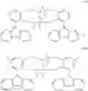 Fig. 53 - Olefin polymerization catalyst system comprising mesoporous organosilica support