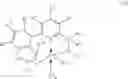 Fig. 41 - Olefin polymerization catalyst system comprising mesoporous organosilica support