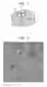 Fig. 02 - Thermoplastic resin composition, molded article, and manufacturing method of molded article