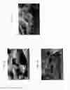 Fig. 09 - Method for reducing thiophene in diesel fuel