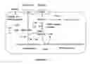 Fig. 02 - Efficient production of oligosaccharides using metabolically engineered microorganisms