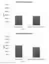 Fig. 06 - Co-differentiation of monocytes from allogeneic donors