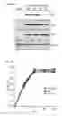 Fig. 03 - Recombinant RNA Viruses and Uses Thereof