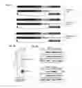 Fig. 10 - Recombinant RNA Viruses and Uses Thereof