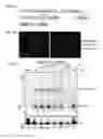 Fig. 13 - Recombinant RNA Viruses and Uses Thereof