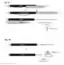 Fig. 14 - Recombinant RNA Viruses and Uses Thereof