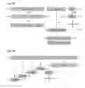Fig. 15 - Recombinant RNA Viruses and Uses Thereof