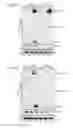 Fig. 40 - Recombinant RNA Viruses and Uses Thereof
