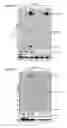 Fig. 42 - Recombinant RNA Viruses and Uses Thereof