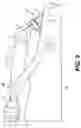 Fig. 04 - Integrated excavator pin grabber quick coupler