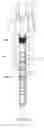 Fig. 23 - Fill up tool