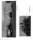 Fig. 02 - System and method for aeration by air infusion