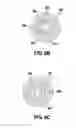 Fig. 08 - Electromechanical brake for vehicle