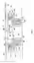 Fig. 06 - Washpipe assemblies for a power swivel