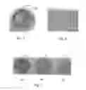 Fig. 04 - Evaporator arrangement