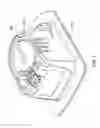 Fig. 08 - HVAC actuator with range adjustment