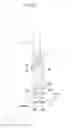 Fig. 27 - Three-dimensional coordinate measurement apparatus