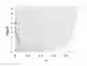 Fig. 01 - METHOD FOR PERFORMING QUANTITATION ASSAYS