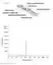 Fig. 02 - PATHOGEN DETECTION BY SERS NANOPARTICLES