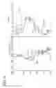 Fig. 08 - Joint inversion of compressional and shear seismic data in native time domains