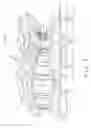 Fig. 22 - OBJECTIVE FOR MICROSCOPE