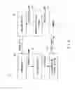 Fig. 02 - Illumination setting method, light sheet microscope apparatus, and recording medium