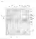 Fig. 03 - Display device and method of manufacturing the same