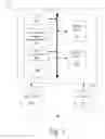 Fig. 02 - Automation Of Clinical Scoring For Decision Support