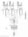 Fig. 02 - Apparatuses and methods for targeted refreshing of memory