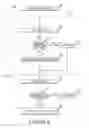 Fig. 09 - Apparatuses and methods for targeted refreshing of memory