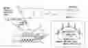 Fig. 01 - LIGHT INCIDENT ANGLE CONTROLLABLE ELECTRONIC DEVICE AND MANUFACTURING METHOD THEREOF