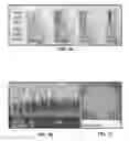Fig. 02 - LIGHT INCIDENT ANGLE CONTROLLABLE ELECTRONIC DEVICE AND MANUFACTURING METHOD THEREOF