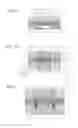 Fig. 05 - Organic electroluminescent display device