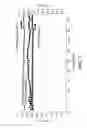 Fig. 06 - Electrochemical Cell with Bipolar Faradaic Membrane