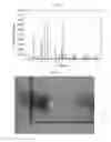 Fig. 04 - Lithium lanthanum zirconium tantalum oxide garnet crystal and all-solid-state lithium ion secondary battery