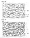 Fig. 03 - POSITIVE ELECTRODE FOR NONAQUEOUS SECONDARY BATTERY, METHOD FOR FORMING THE SAME, NONAQUEOUS SECONDARY BATTERY, AND ELECTRICAL DEVICE