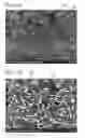 Fig. 12 - POSITIVE ELECTRODE FOR NONAQUEOUS SECONDARY BATTERY, METHOD FOR FORMING THE SAME, NONAQUEOUS SECONDARY BATTERY, AND ELECTRICAL DEVICE