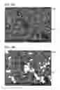 Fig. 14 - POSITIVE ELECTRODE FOR NONAQUEOUS SECONDARY BATTERY, METHOD FOR FORMING THE SAME, NONAQUEOUS SECONDARY BATTERY, AND ELECTRICAL DEVICE