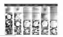 Fig. 01 - Precursor for Producing Lithium-rich Cathode Active Material, and Lithium-rich Cathode Active Material Produced Thereby