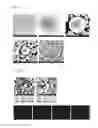 Fig. 06 - Precursor for Producing Lithium-rich Cathode Active Material, and Lithium-rich Cathode Active Material Produced Thereby