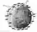 Fig. 01 - Inter-satellite communication device, associated satellite and associated constellation of satellites