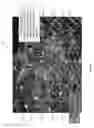 Fig. 62 - Modulation and equalization in an orthonormal time-frequency shifting communications system