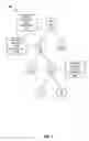 Fig. 07 - Notifying original state listeners of events in a domain model