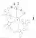Fig. 06 - Hierarchical organization for scale-out cluster