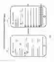 Fig. 04 - RICH MEDIA INTERACTIVE VOICE RESPONSE