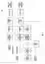 Fig. 07 - Techniques for managing visual compositions for a multimedia conference call